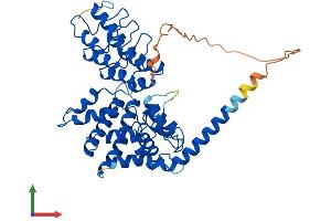 Protein Structure (PS) image for Ankyrin Repeat and MYND Domain Containing 2 (ANKMY2) (AA 1-441) protein (His tag) (ABIN7552183)