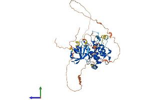 Protein Structure (PS) image for Receptor-Interacting serine-threonine Kinase 3 (RIPK3) (AA 1-486) protein (His tag) (ABIN7561832)