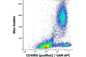 Flow cytometry surface staining pattern of human peripheral whole blood stained using anti-human CD45R0 (UCHL1) purified antibody (concentration in sample 1 μg/mL, GAM APC). (CCL20 抗体)