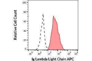 Separation of human Ig Lambda Light Chain positive B cells (red-filled) from human Ig Lambda Light Chain negative B cells (black-dashed) in flow cytometry analysis (surface staining) of human peripheral whole blood stained using anti-human Ig Lambda Light Chain (4C2) APC (10 μL reagent / 100 μL of peripheral whole blood).