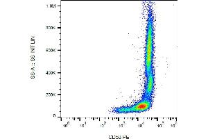 Flow cytometry analysis (surface staining) of human peripheral blood cells with anti-CD58 (MEM-63) PE. (CD58 抗体  (PE))