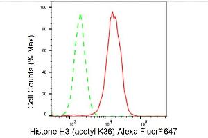 Flow cytometric analysis of Histone H3 (acetyl K36) expression in HAP-1 cells using Histone H3 (acetyl K36) antibody (ABIN7798951), 1:2,000). (Recombinant Histone 3 抗体  (H3K36ac))
