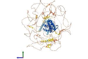 Protein Structure (PS) image for Cyclin-Dependent Kinase 13 (CDK13) (AA 1-1511) protein (His tag) (ABIN7564017)