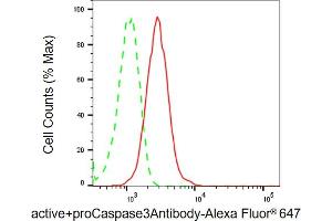 Flow cytometric analysis of active+proCaspase3Antibody expression in HT- cells using active+proCaspase3Antibody antibody (ABIN7797489), 1:2,000). (Recombinant Active+pro Caspase 3 抗体)