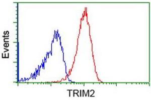 Image no. 2 for anti-Tripartite Motif Containing 2 (TRIM2) (AA 1-100), (AA 645-744) antibody (ABIN1490540) (TRIM2 抗体  (AA 1-100, AA 645-744))
