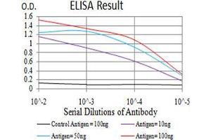 Black line: Control Antigen (100 ng);Purple line: Antigen (10ng); Blue line: Antigen (50 ng); Red line:Antigen (100 ng) (EIF5 抗体  (AA 1-300))