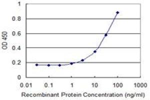 Detection limit for recombinant GST tagged YSK4 is 1 ng/ml as a capture antibody. (MAP3K19 抗体  (AA 1-168))