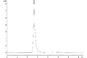 Size-exclusion chromatography-High Pressure Liquid Chromatography (SEC-HPLC) image for Sialic Acid Binding Ig-Like Lectin 10 (SIGLEC10) (AA 17-546) protein (Fc-Avi Tag,Biotin) (ABIN7275612)