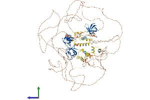 Protein Structure (PS) image for Sorbin and SH3 Domain Containing 2 (Sorbs2) (AA 1-1180) protein (His tag) (ABIN7563753)