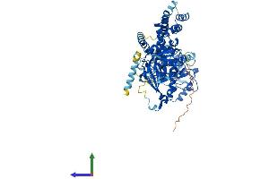 Protein Structure (PS) image for Adrenergic, Beta, Receptor Kinase 1 (ADRBK1) (AA 1-689) protein (His tag) (ABIN7552350)