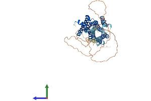 AlphaFold protein structure predicition of Human Recombinant HRH1 Protein, UniprotID P35367 (HRH1 Protein (AA 1-487) (His tag))