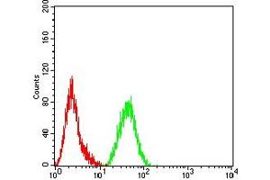 Flow Cytometry (FACS) image for anti-Vimentin (VIM) (AA 2-466) antibody (ABIN7193582)
