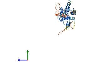 AlphaFold protein structure predicition of Human Recombinant PLPPR1 Protein, UniprotID Q8TBJ4