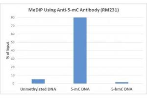 MeDIP was performed using recombinant 5mC antibody at a 2:1 DNA:Ab ratio. (Recombinant 5-Methylcytosine 抗体)