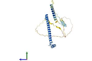 AlphaFold protein structure predicition of Human Recombinant CCDC59 Protein, UniprotID Q9P031