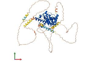 Protein Structure (PS) image for SUMO1/sentrin/SMT3 Specific Peptidase 2 (SENP2) (AA 1-589) protein (His tag) (ABIN7555453)