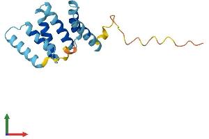 Protein Structure (PS) image for Fission 1 (FIS1) (AA 1-152) protein (His tag) (ABIN7547612)