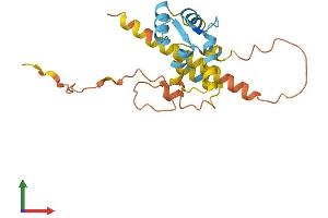 Protein Structure (PS) image for Calcium Binding Protein 7 (CABP7) (AA 1-215) protein (His tag) (ABIN7552792)