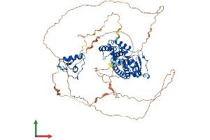 AlphaFold protein structure predicition of Mouse Recombinant Nr4a3 Protein, UniprotID Q9QZB6
