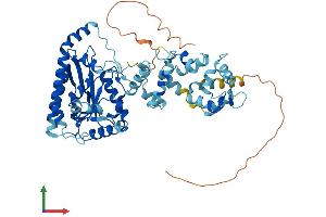 Protein Structure (PS) image for Lysophosphatidylcholine Acyltransferase 2 (LPCAT2) (AA 1-544) protein (His tag) (ABIN7554894)