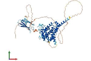 Protein Structure (PS) image for SHQ1 Homolog (SHQ1) (AA 1-569) protein (His tag) (ABIN7558216)