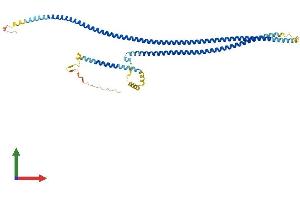 AlphaFold protein structure predicition of Human Recombinant CCDC65 Protein, UniprotID Q8IXS2