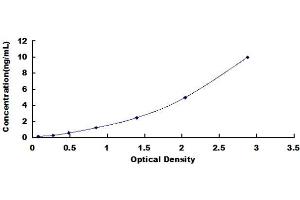 Typical standard curve (OPTN ELISA 试剂盒)