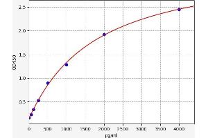 CKMT1A ELISA 试剂盒