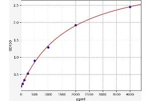 Typical standard curve (CKMT1A ELISA 试剂盒)