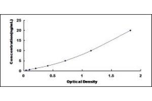 Typical standard curve (EXTL1 ELISA 试剂盒)