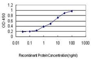Detection limit for recombinant GST tagged ALAS2 is approximately 0. (ALAS2 抗体  (AA 1-100))