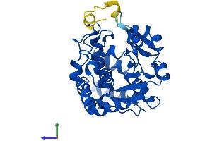 Protein Structure (PS) image for Sulfotransferase Family, Cytosolic, 1C, Member 2 (SULT1C2) (AA 1-304) protein (His tag) (ABIN7558371)