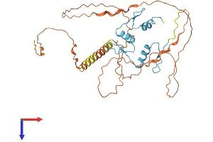 KLF17 Protein (AA 1-341) (His tag)