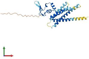 Protein Structure (PS) image for ARV1 Homolog (ARV1) (AA 1-266) protein (His tag) (ABIN7560856)