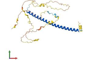 Protein Structure (PS) image for CCAAT/enhancer Binding Protein (C/EBP), epsilon (CEBPE) (AA 1-281) protein (His tag) (ABIN7553348)