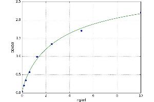 A typical standard curve (beta 2 Adrenergic Receptor ELISA 试剂盒)