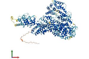 Protein Structure (PS) image for Mediator Complex Subunit 23 (MED23) (AA 1-1368) protein (His tag) (ABIN7554532)