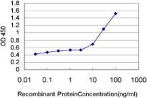 Detection limit for recombinant GST tagged CXCL16 is approximately 0. (CXCL16 抗体  (AA 49-273))