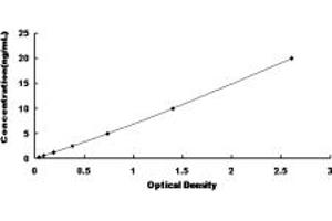 Typical standard curve (UBAP2 ELISA 试剂盒)