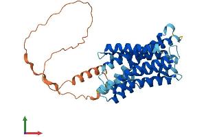 Protein Structure (PS) image for Solute Carrier Family 39 (Metal Ion Transporter), Member 11 (SLC39A11) (AA 1-342) protein (His tag) (ABIN7551651)