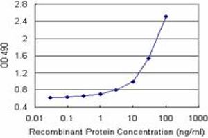 Sandwich ELISA detection sensitivity ranging from 1 ng/mL to 100 ng/mL. (CSTB (人) Matched Antibody Pair)