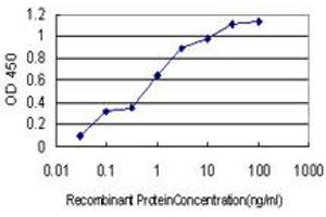Detection limit for recombinant GST tagged COL20A1 is approximately 0. (COL20A1 抗体  (AA 1-155))