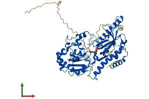 Protein Structure (PS) image for Fucosyltransferase 11 (Alpha (1,3) Fucosyltransferase) (FUT11) (AA 1-489) protein (His tag) (ABIN7558627)