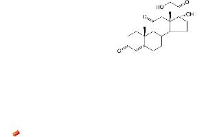 Image no. 2 for Cortisone (COR) CLIA Kit (ABIN577660) (Cortisone CLIA Kit)