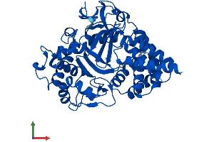 Protein Structure (PS) image for SET and MYND Domain Containing 3 (SMYD3) (AA 1-428) protein (His tag) (ABIN7546107)