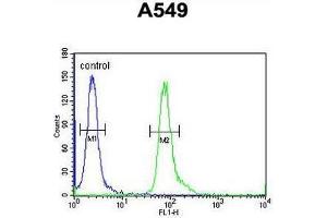 Flow Cytometry (FACS) image for anti-Family with Sequence Similarity 46, Member D (FAM46D) (AA 210-239), (Middle Region) antibody (ABIN951716)