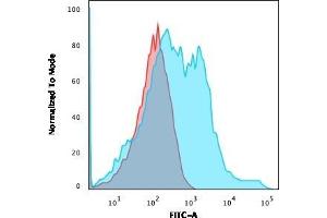 Flow Cytometric Analysis of HEK293 cells using Neurofilament Mouse Recombinant Monoclonal Antibody (rNF421) followed by goat anti-Mouse IgG-CF488 (Blue); Isotype control (Red). (Recombinant NEFH 抗体)