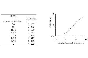 ELISA image for Renalase, FAD-Dependent Amine Oxidase (RNLS) ELISA Kit (ABIN454289)