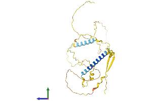 AlphaFold protein structure predicition of Mouse Recombinant Taf1d Protein, UniprotID Q9D4V4