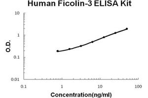 Human Ficolin-3 PicoKine ELISA Kit standard curve (FCN3 ELISA 试剂盒)